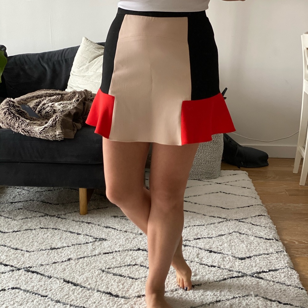 Zara Skirt